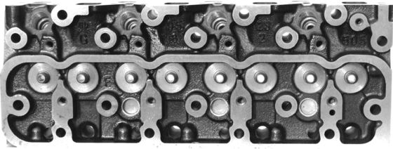 ISUZU TROOPER CAMPO 4JG2 Cabeza de cilindro de fundición de hierro 8-97086-338-2 8-97016-504-7 8-97086-338-6N8-97086-332-3 3.1L 8V