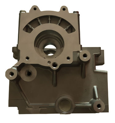 Z20S Z20S1 Z20DM Z20DMH Cabeza de cilindro para GM Opel Antara Chevrolet Cruze Captivia Epica Nubira Lacetti 2.0L 8V Motor 96440128 96440132
