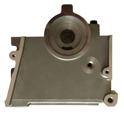 Z20S Z20S1 Z20DM Z20DMH Cabeza de cilindro para GM Opel Antara Chevrolet Cruze Captivia Epica Nubira Lacetti 2.0L 8V Motor 96440128 96440132